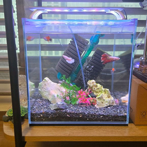 어항 풀세트 가로폭높이 30cm 30cm 30cm