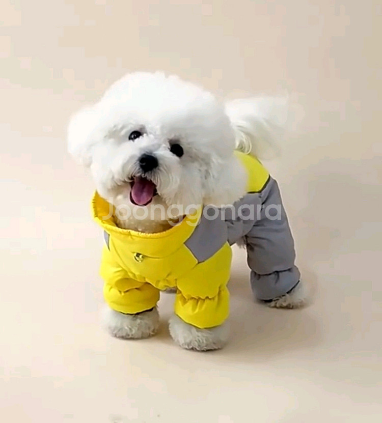 L XL 2XL(3.5 -7.5kg) 강아지옷 패딩--3