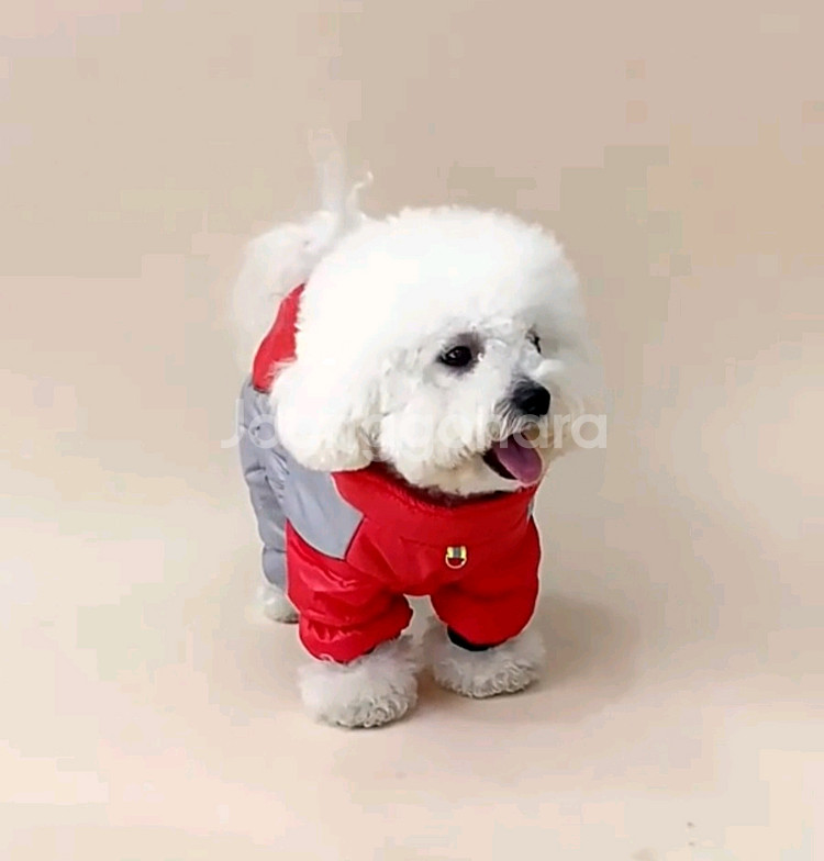 L XL 2XL(3.5 -7.5kg) 강아지옷 패딩--4