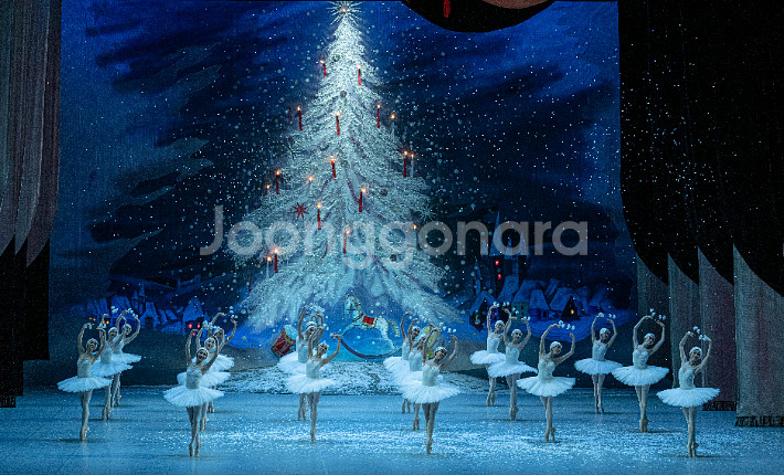 국립발레단 발레 호두까기인형 12/25 크리스마스 14시 1층 5열 초특급명당 2연석 양도합니다--0