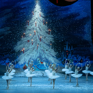 국립발레단 발레 호두까기인형 12/25 크리스마스 14시 1층 5열 초특급명당 2연석 양도합니다