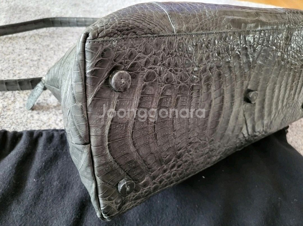 낸시곤잘레스--5