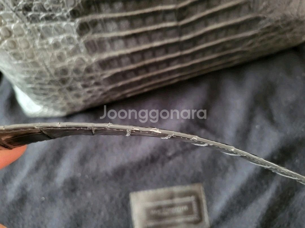 낸시곤잘레스--3