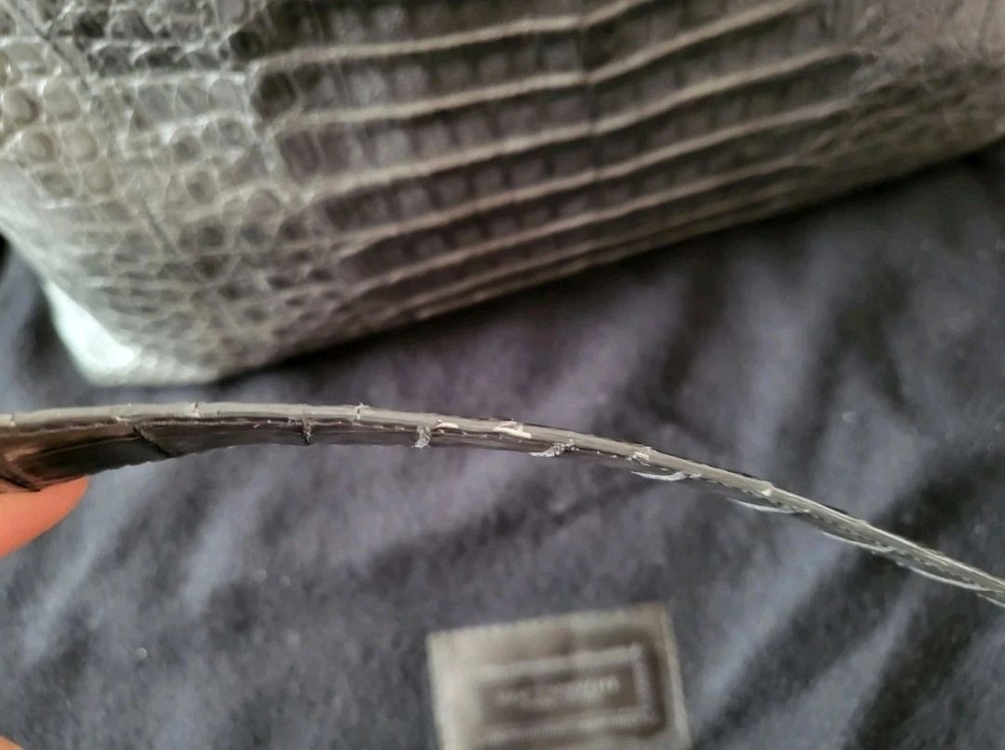 낸시곤잘레스--3