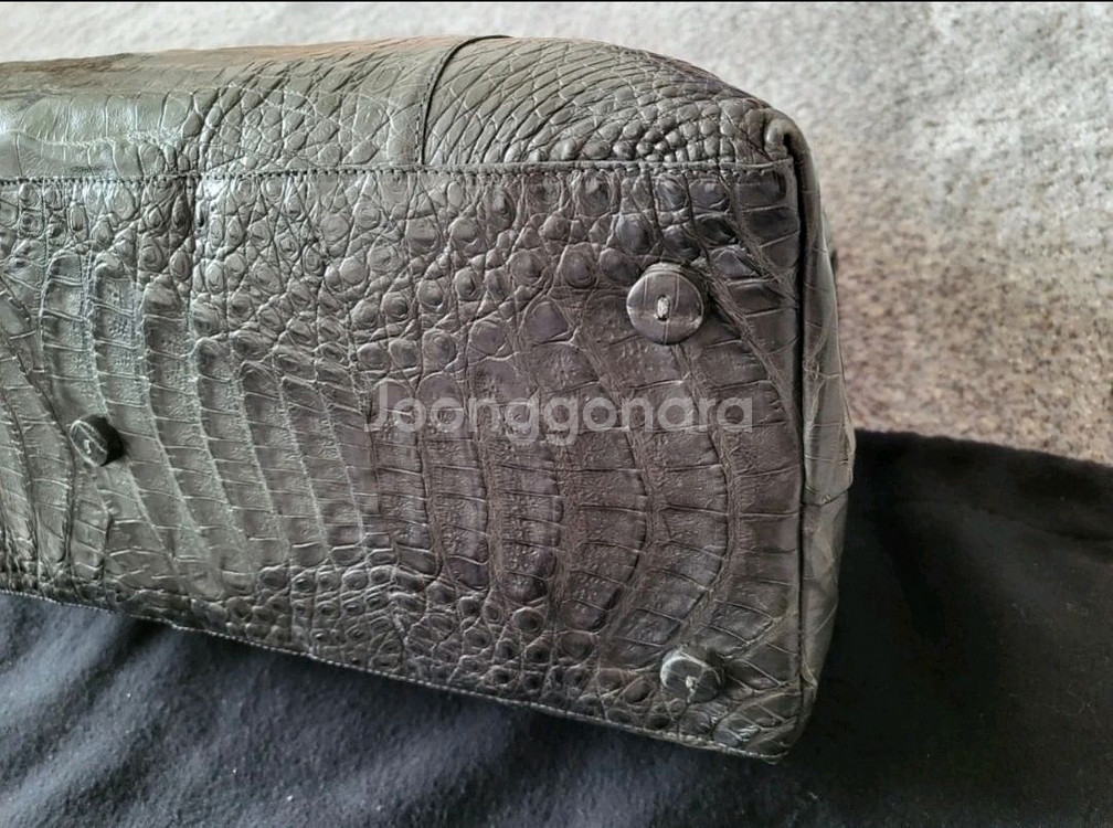 낸시곤잘레스--6