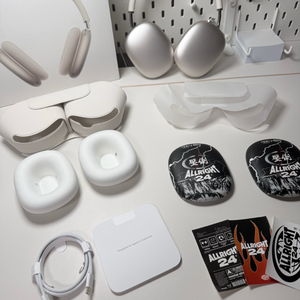 애플 에어팟 맥스 2세대 스타라이트 (c타입)