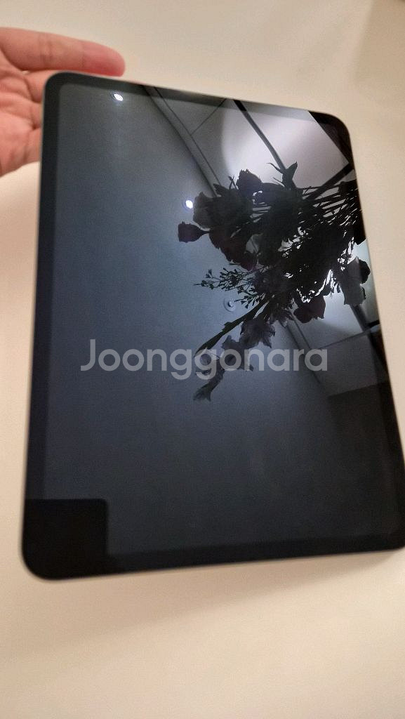 아이패드 프로 11 M4 256기가--2