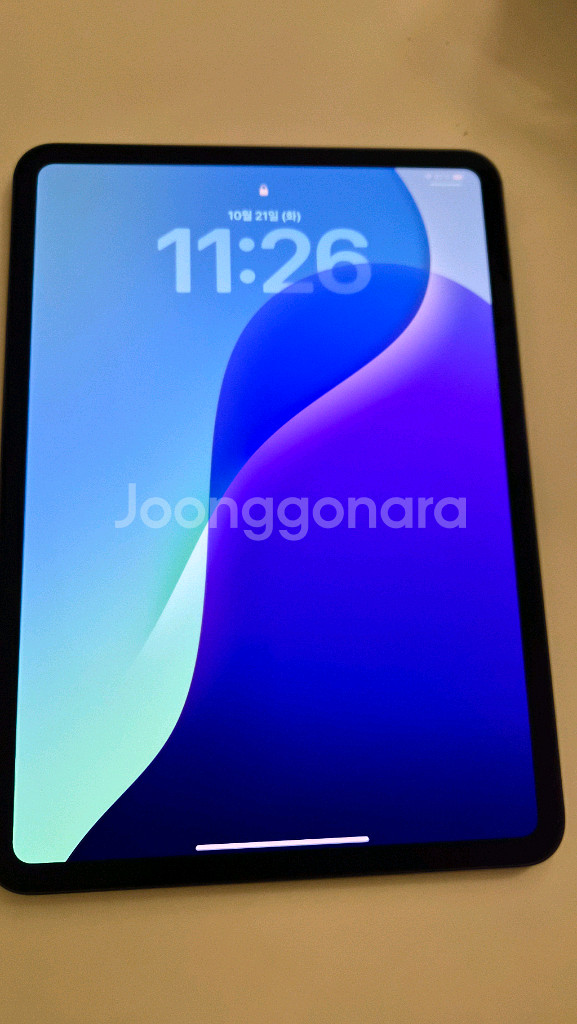 아이패드 프로 11 M4 256기가--3