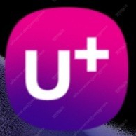 LG U+ 데이터 (11월)