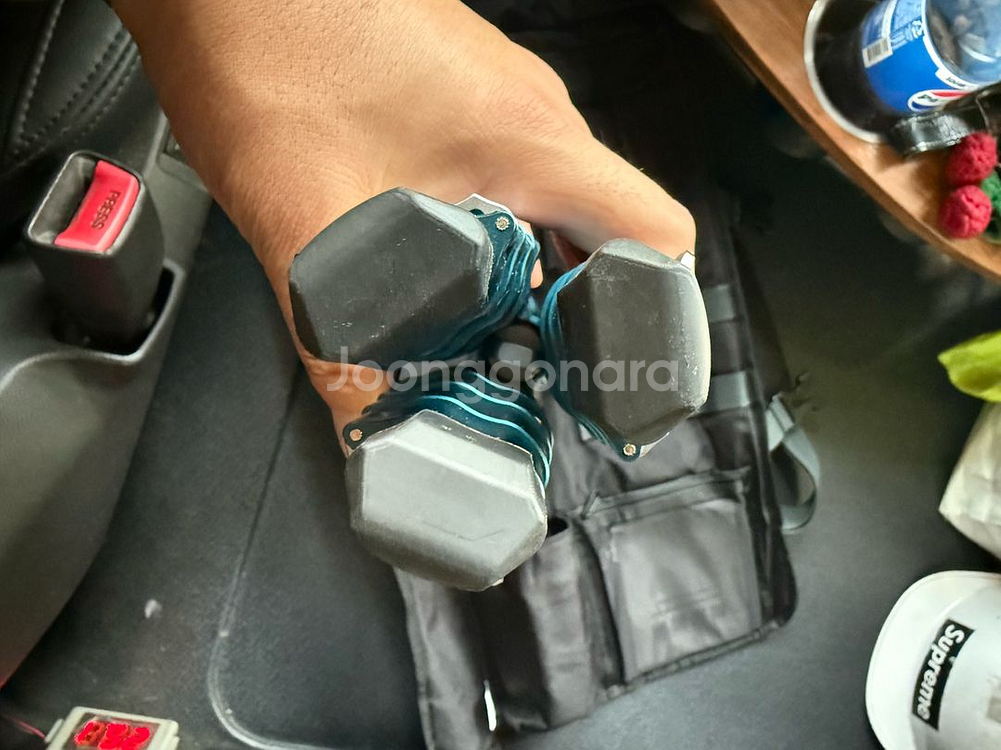 벤로 사이언버드 카본 카메라삼각대--3