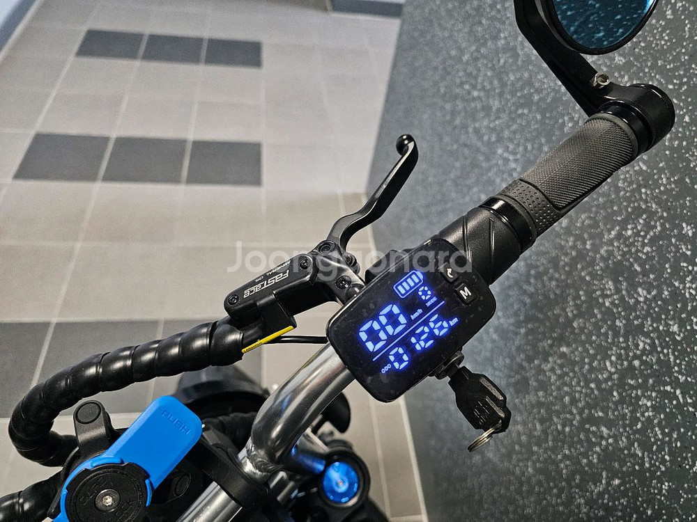 엑스라이더 자토바이 전기자전거 x200맥스--2