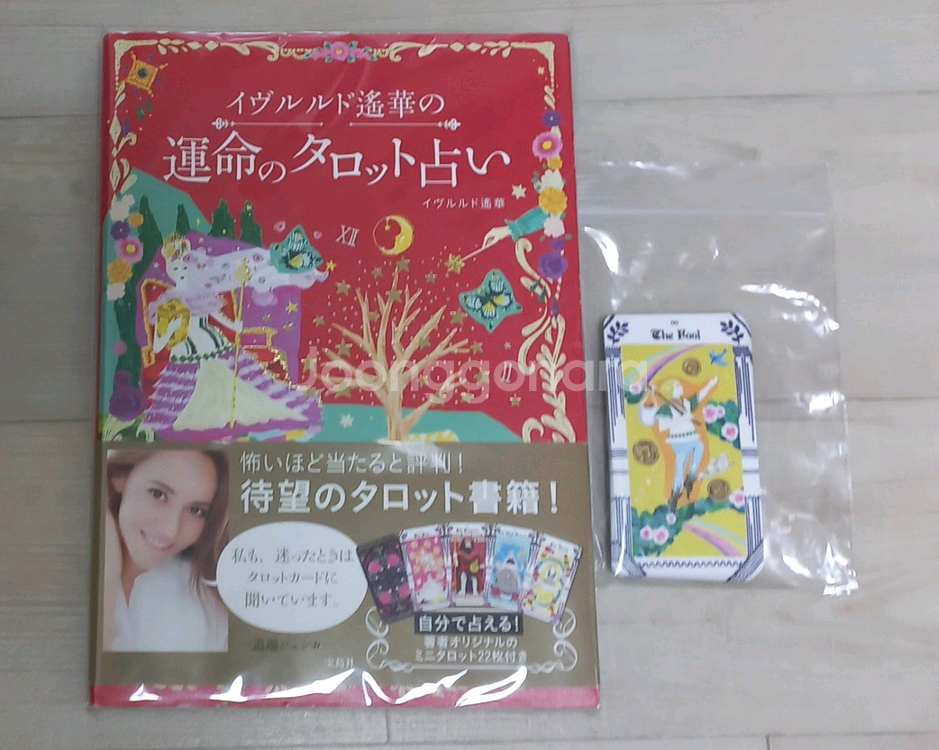 이브루루도 타로책 운명의 타로점 + 22장 메이져 타로카드--0