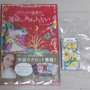 이브루루도 타로책 운명의 타로점 + 22장 메이져 타로카드