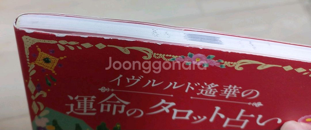 이브루루도 타로책 운명의 타로점 + 22장 메이져 타로카드--2