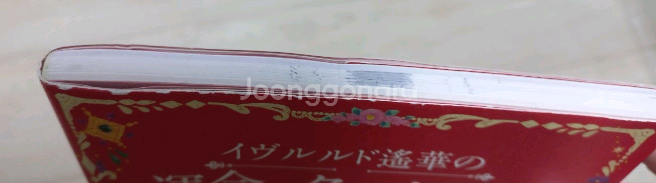 이브루루도 타로책 운명의 타로점 + 22장 메이져 타로카드--3