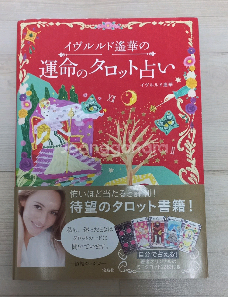 이브루루도 타로책 운명의 타로점 + 22장 메이져 타로카드--1
