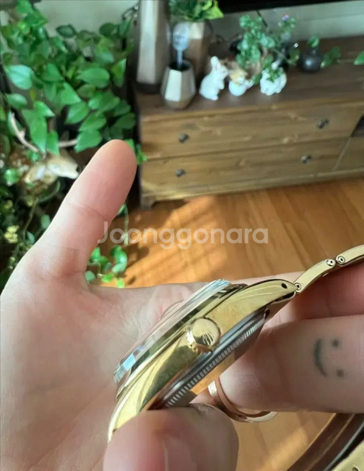 롤렉스 로렉스 1550 오이스터 데이트 캡골드 골드쉘 상태매우 좋음--5