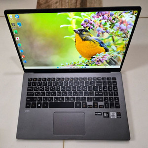 LG그램 노트북 15ZD90N, 15인치, i5 10세대, 16G, 512G
