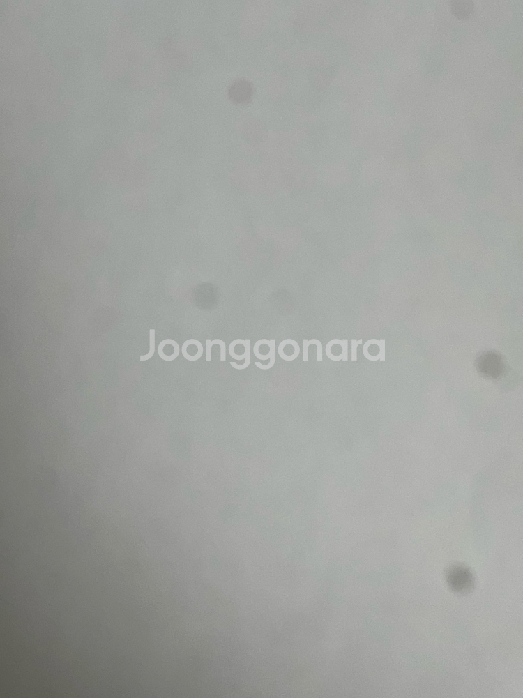 아이폰 13 프로 그래파이트 256 41만원--6