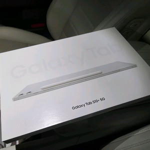 갤럭시탭 S10+ 5G 실버