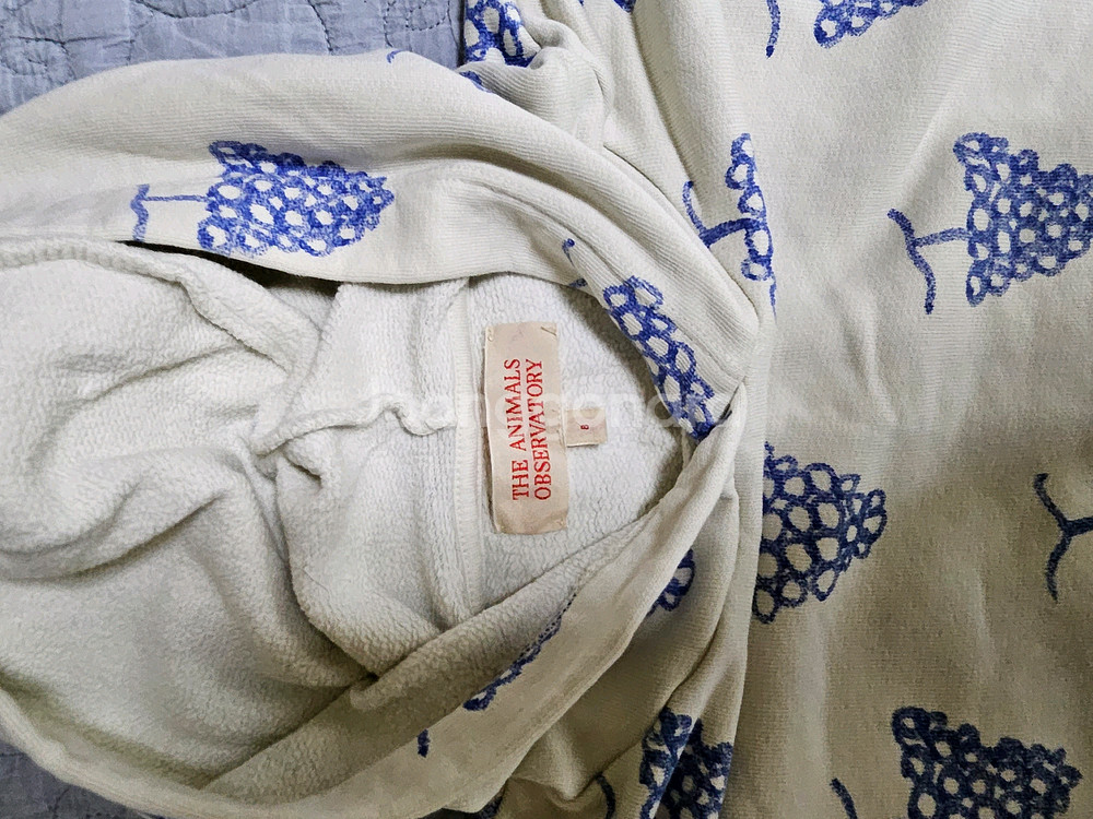 타오 셋업 상의8 하의6--3