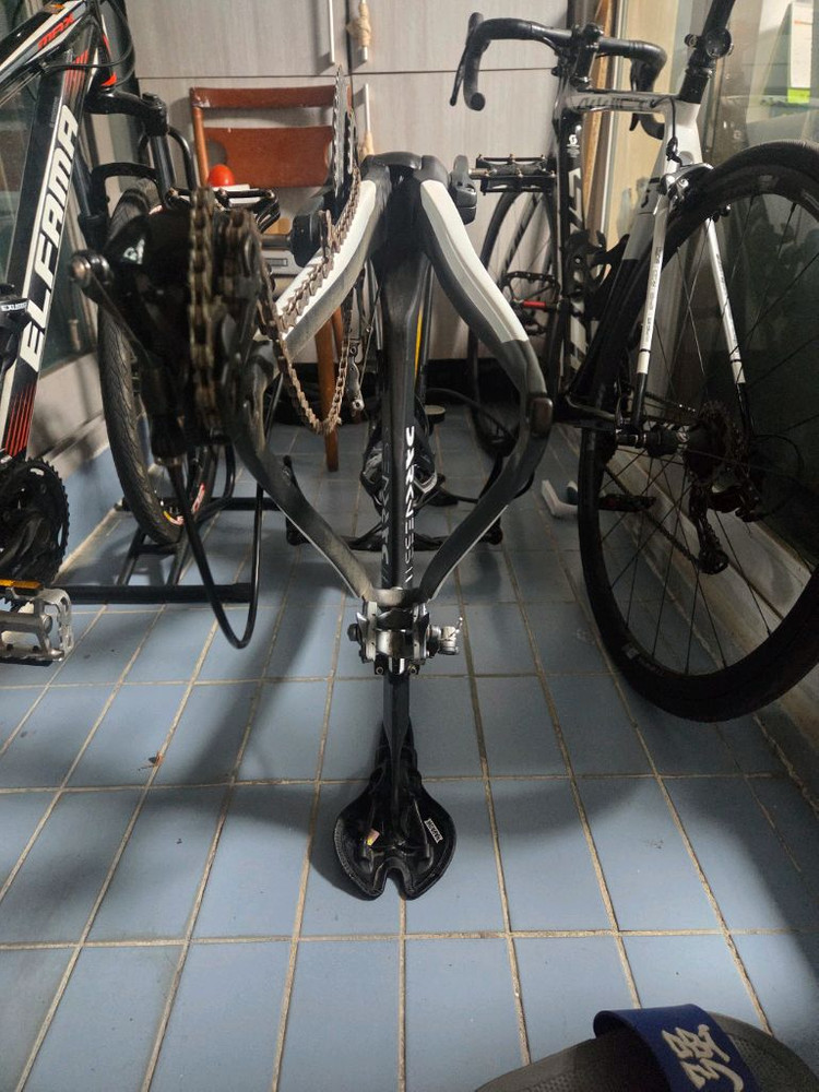 기함급 로드바이크, 트리곤 다크니스 R 반차 이미지