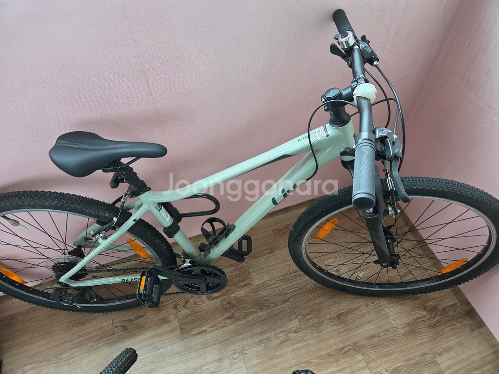 자이언트 리브 블리스--1