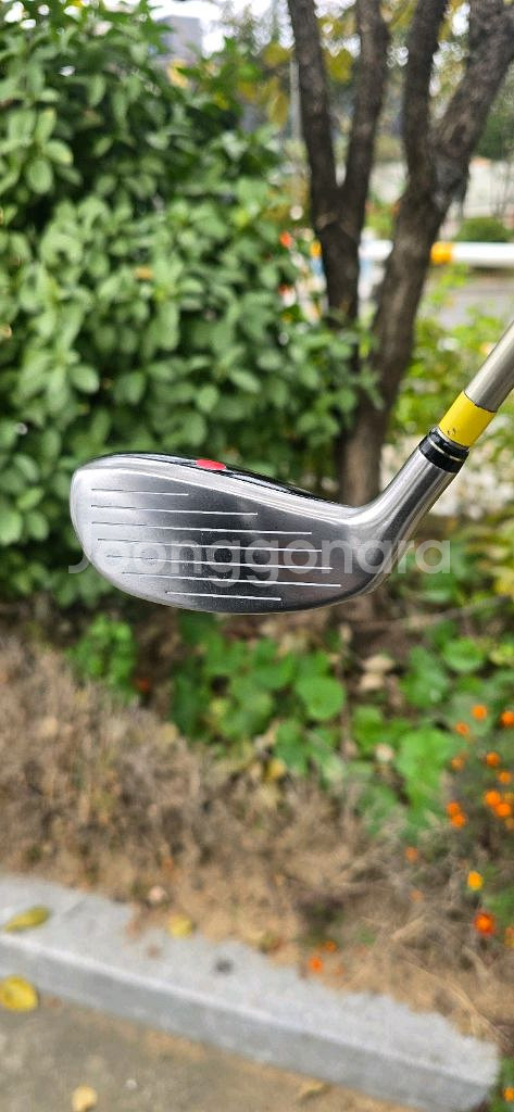 데이비드 우디아이언( 4번22도 R)--1