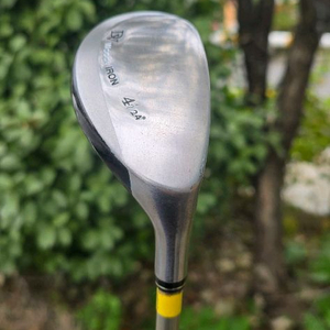 데이비드 우디아이언( 4번22도 R)