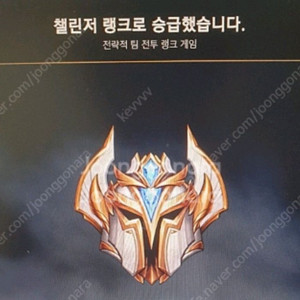 롤토체스 대리 해드립니다. 이미지