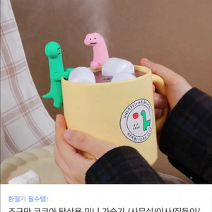 조구만 코코아 탁상용 미니 가습기