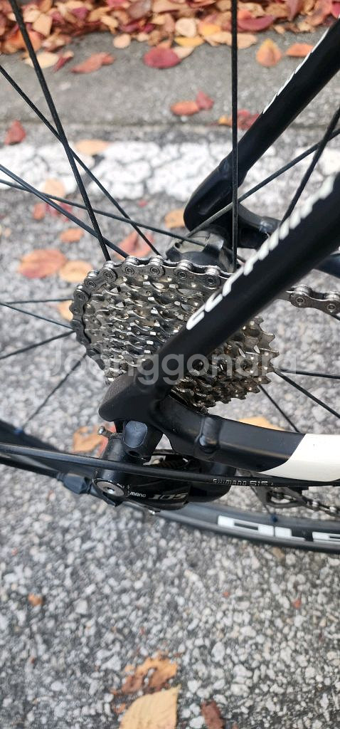 엘파마 에포카 e5800--1