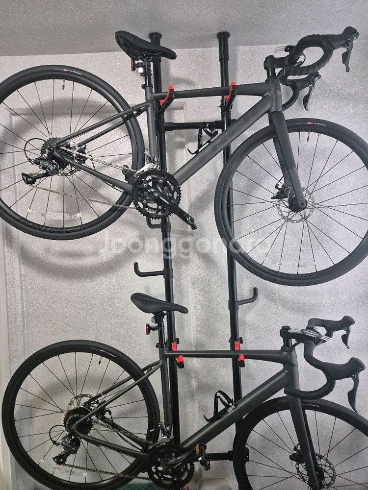 (거의새것)트렉(TREK) 도마니 AL2 4세대 2025년식 로드자전거로드바이크--0