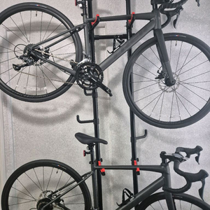 (거의새것)트렉(TREK) 도마니 AL2 4세대 2025년식 로드자전거로드바이크