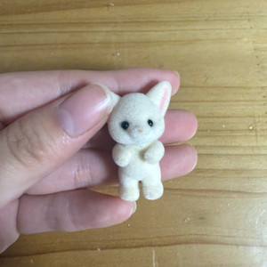 실바니안 사막여우