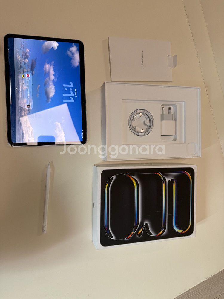 아이패드 프로 m4 11 인치 256 와이파이 애플펜슬--0