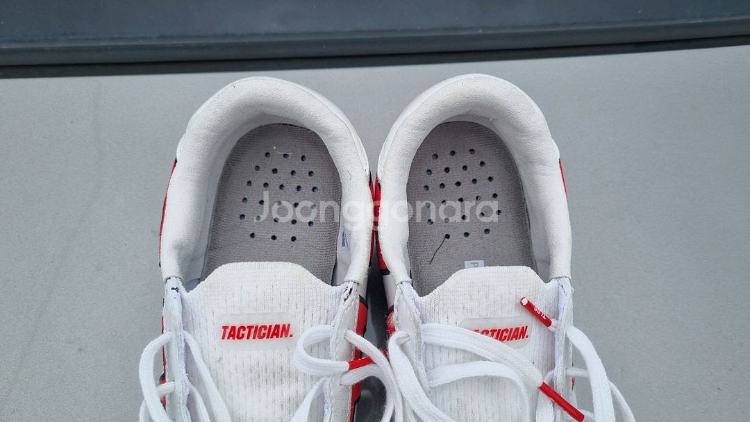 (260mm) TLSS 택티션 가오 TF--1