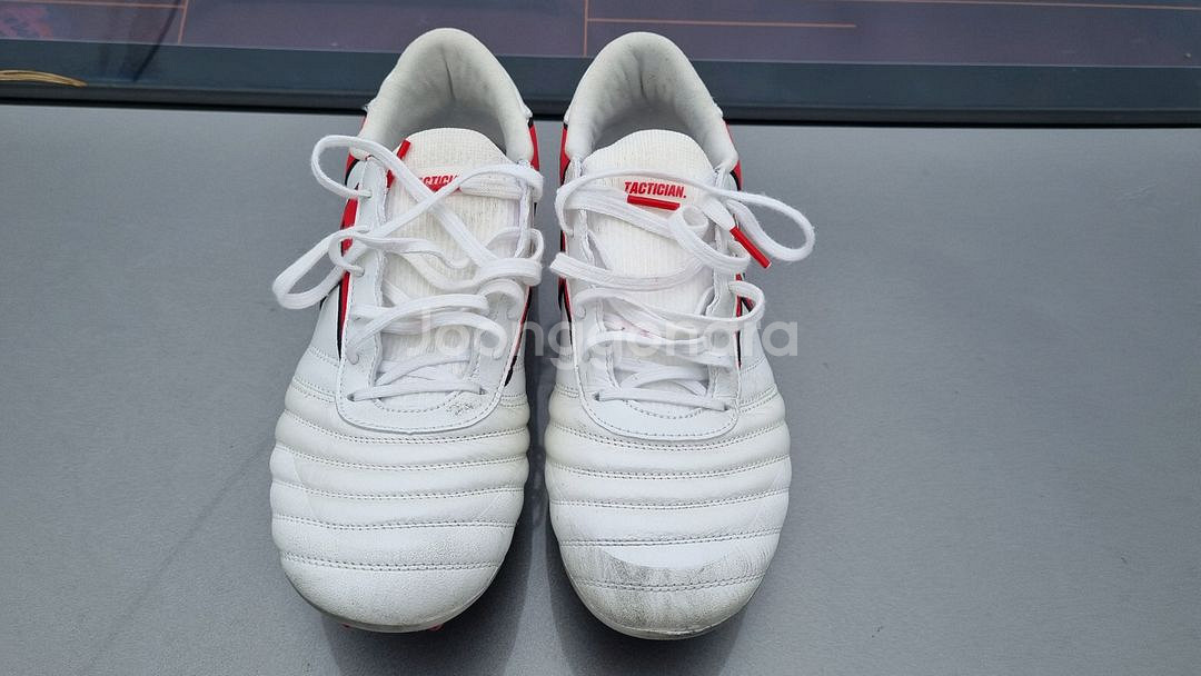 (265mm) TLSS 택티션 가오 MG--0