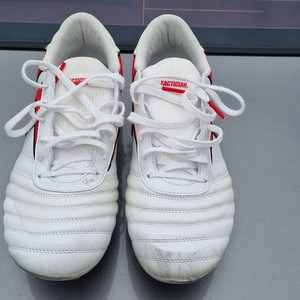 (265mm) TLSS 택티션 가오 MG