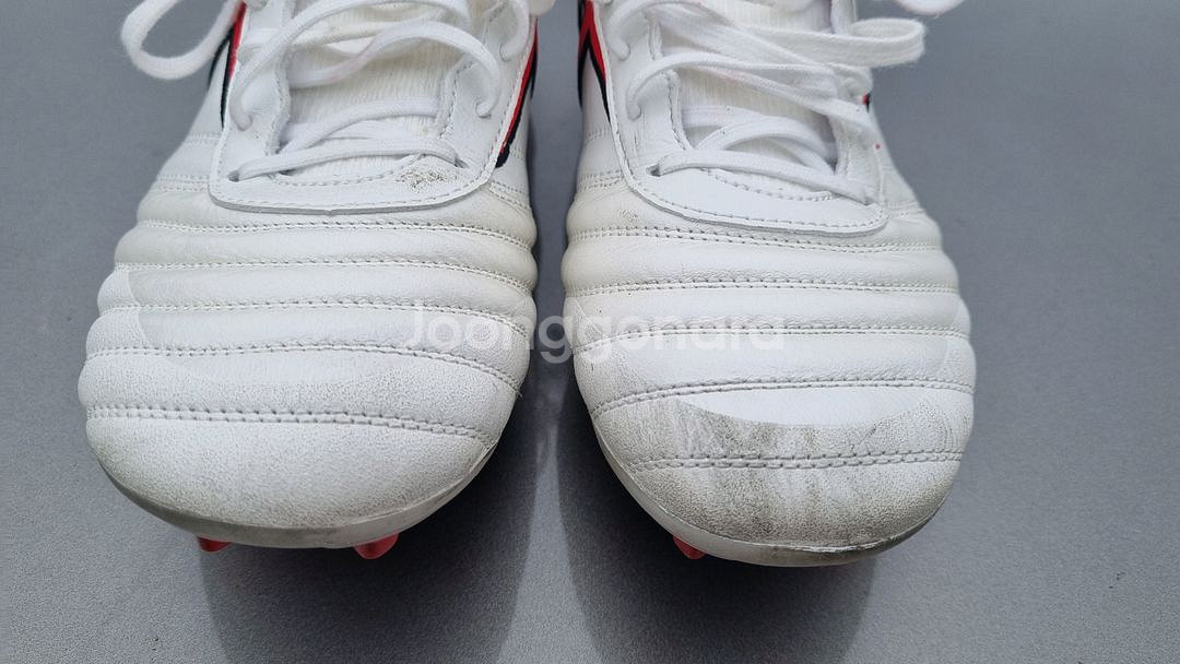 (265mm) TLSS 택티션 가오 MG--1