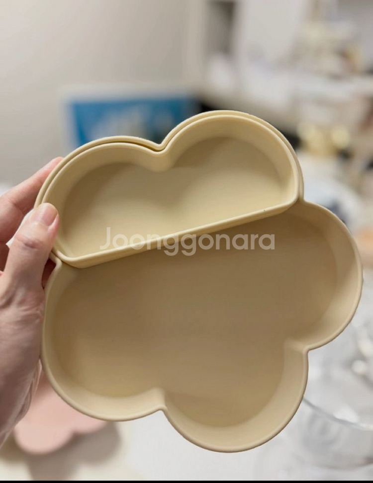 쁘띠팔레블루밍보올--9