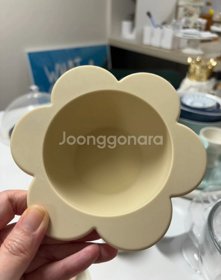 쁘띠팔레블루밍보올--6