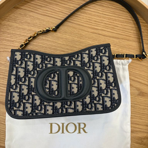 디올 오블리크 미니백