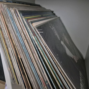 레코드판 세트 일괄