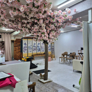 필라멘트, 크림, 비타앰플 등