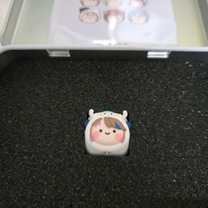 아이리칸나 _ 아티산 키캡 - 팝니다