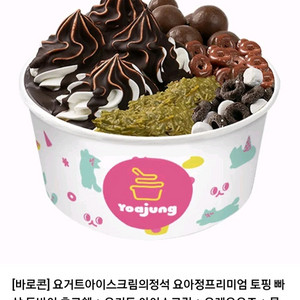 프리미엄 아이스크림 토핑 빼삭 세트