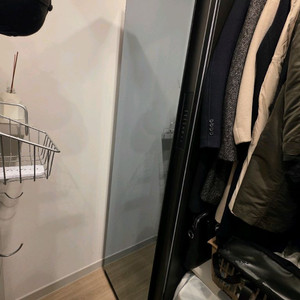 삼성 스타일러 DF10A9500CG 모델