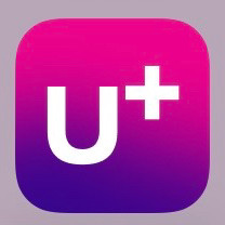 lg데이터 1기가 (1500원)