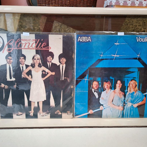 브론디 전화 01071122500